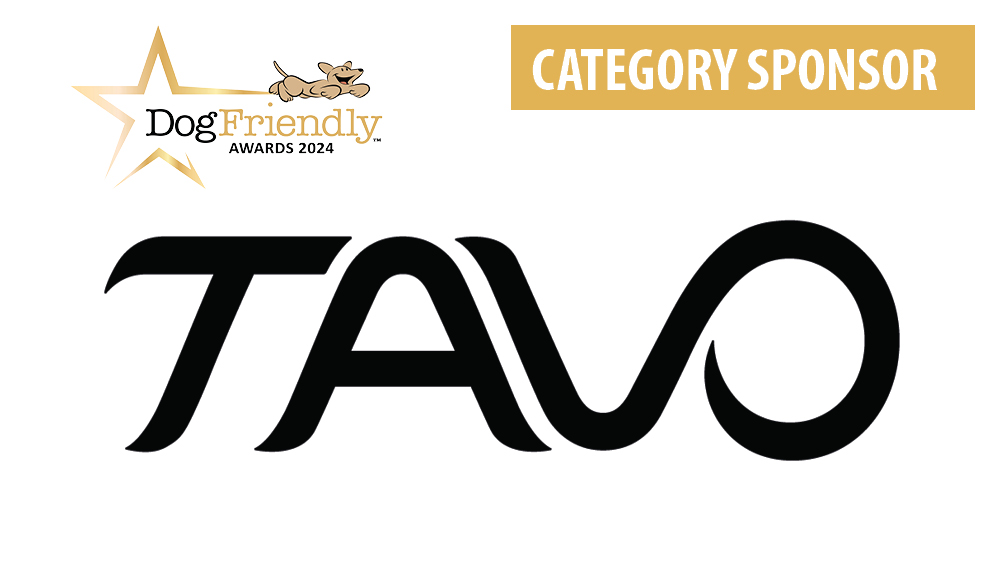 TAVO Logo