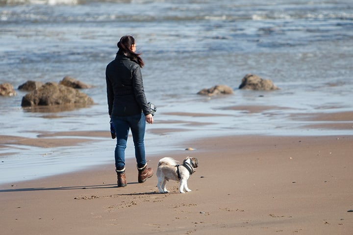 can you walk dogs on hunstanton beach