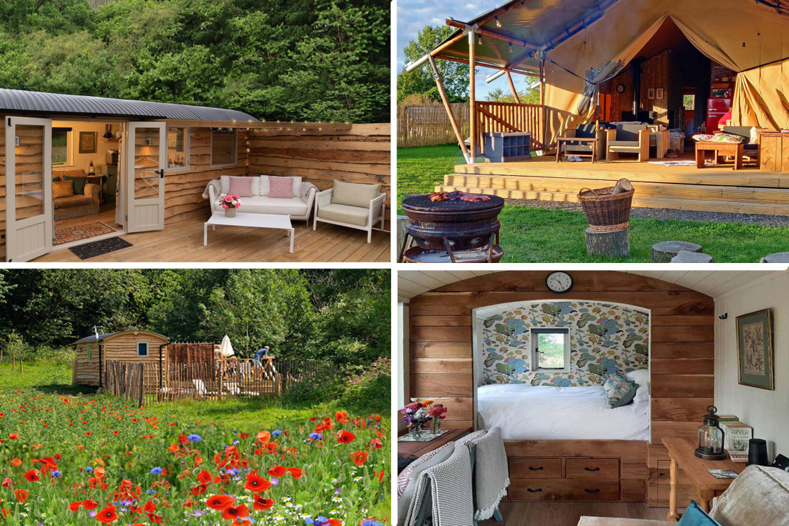 Luxury lodges yorkshire dog hot sale friendly