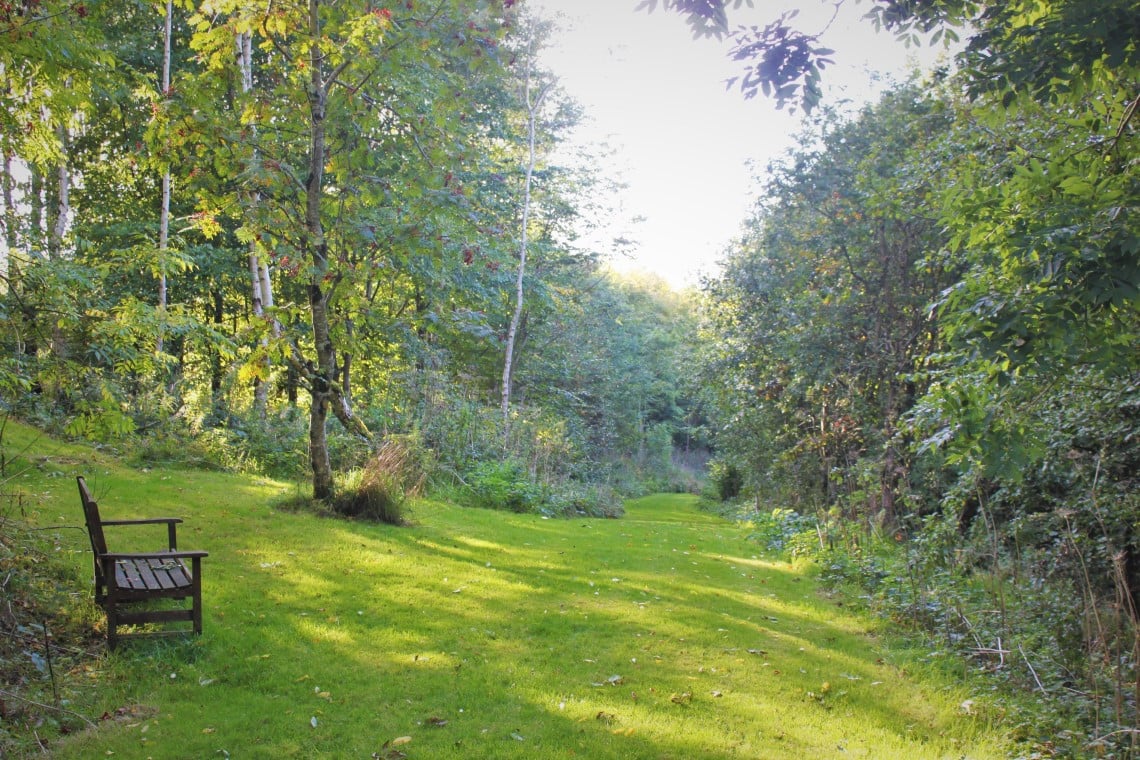 Woodland Cottages Dog Friendly Cottages Self Catering