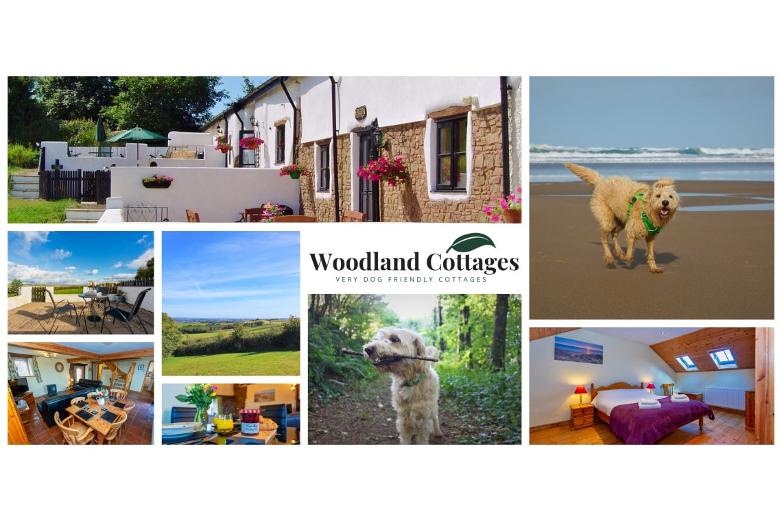 Self catering north cheap devon dog friendly