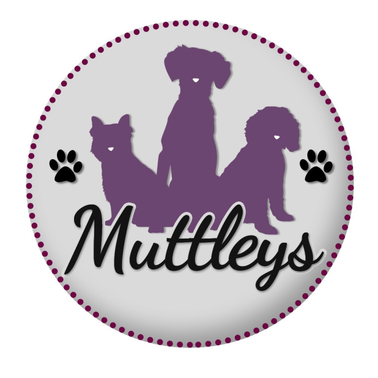 Muttleys Canine First Aid Training Dog Friendly Walker