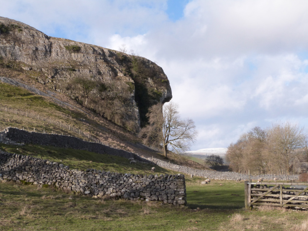 Ashley Croft Lower Barn - Dog Friendly Cottages & Self Catering