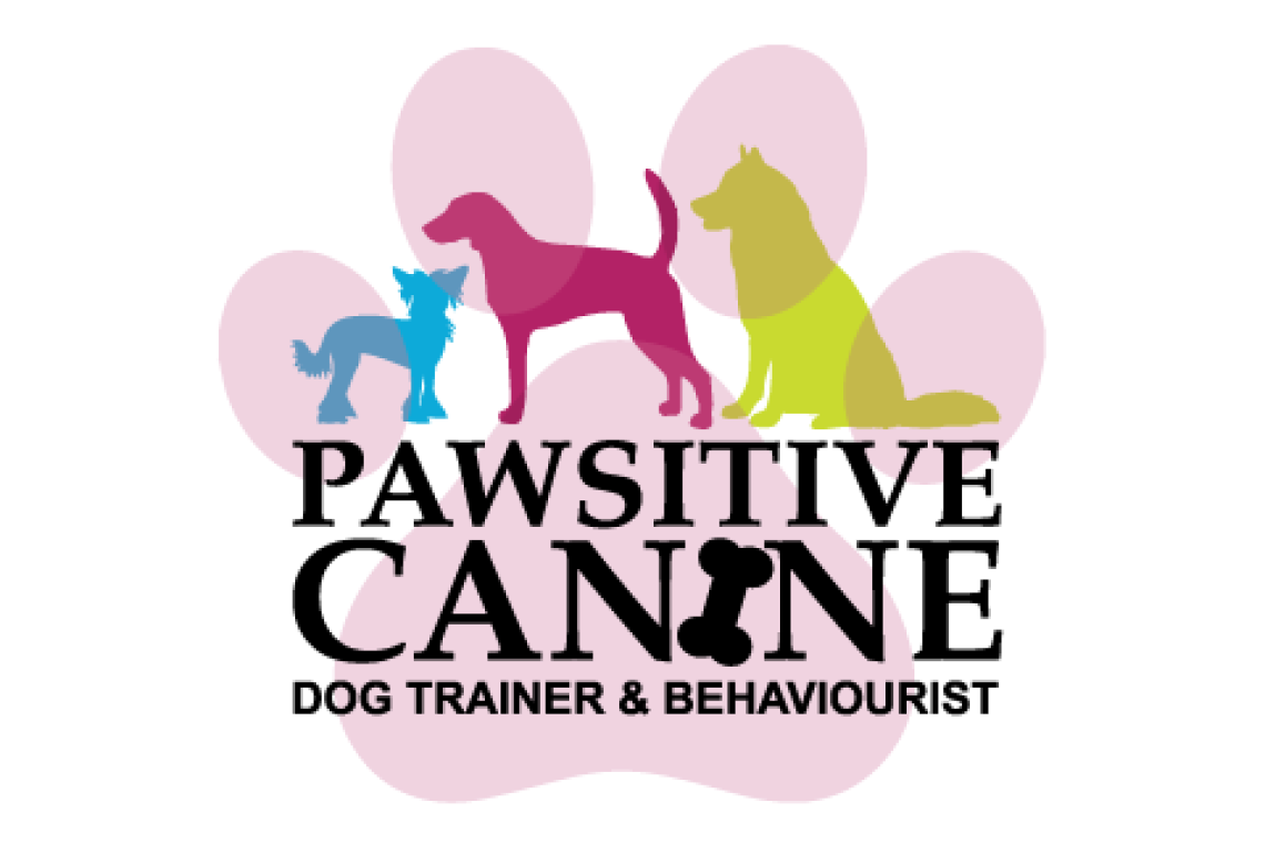 Pawsitive best sale dog training