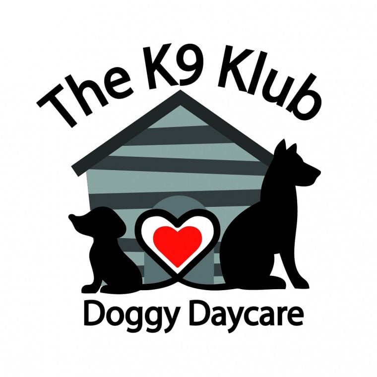 K9 best sale doggy daycare