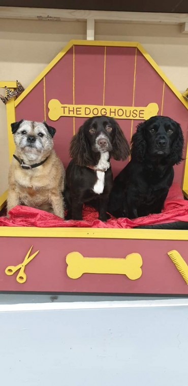 The Dog House - Dog Friendly Groomer