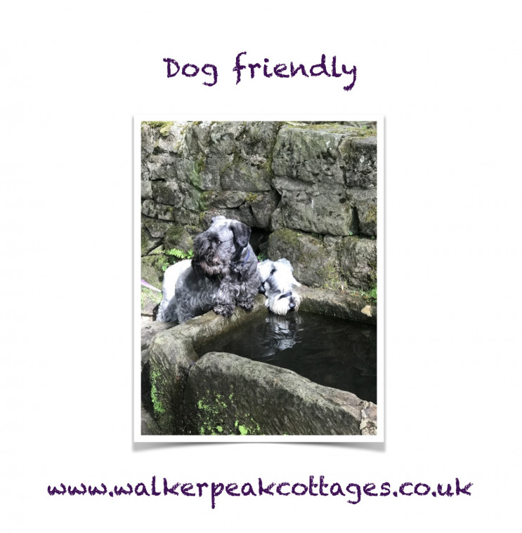 Late availability dog friendly hot sale cottages