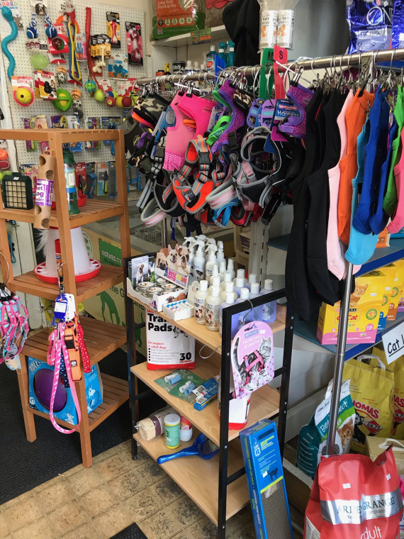 Creature Comforts Pet Supplies Dog Friendly Pet Shop