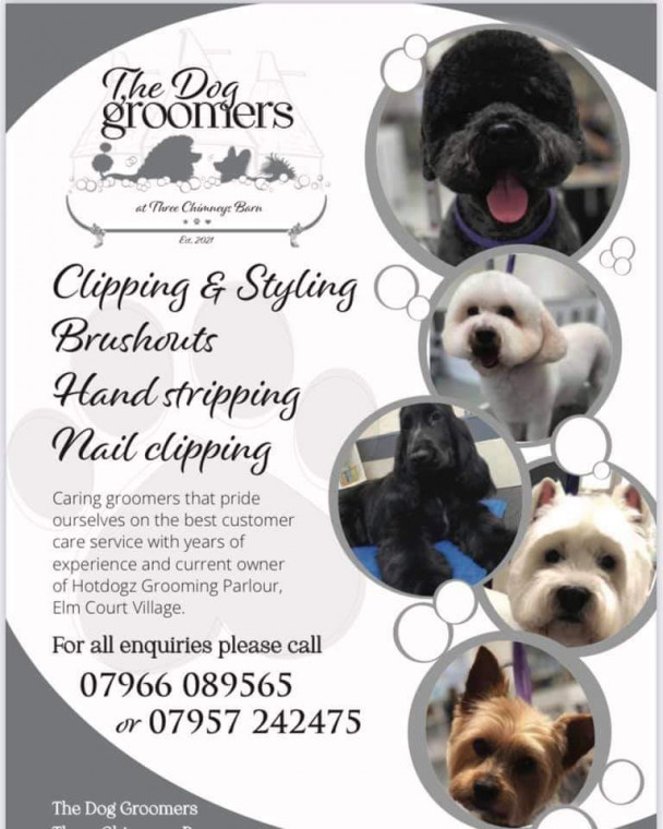 Dog groomers deals near