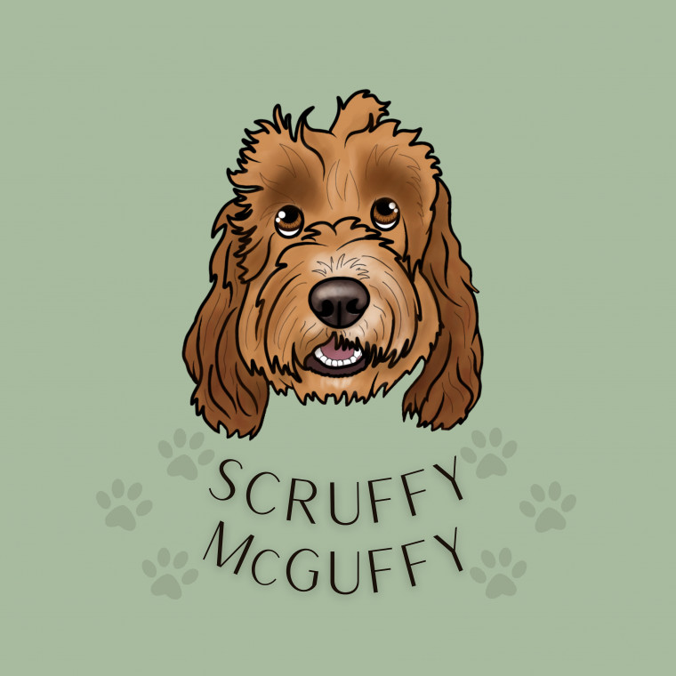 Scruffy McGuffy Dog Friendly Pet Shop