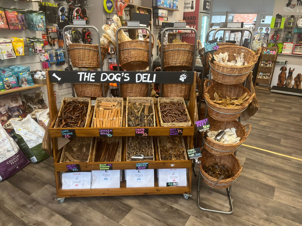 Natural dog food hot sale store near me