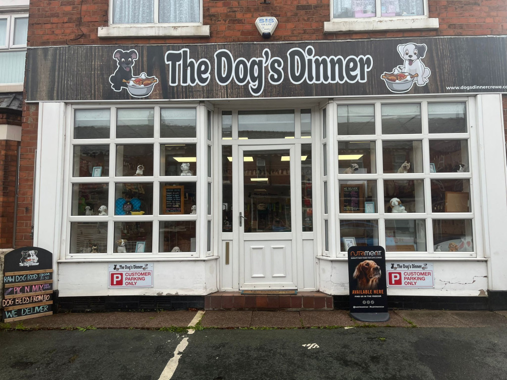 The Dogs Dinner Dog Friendly Pet Shop