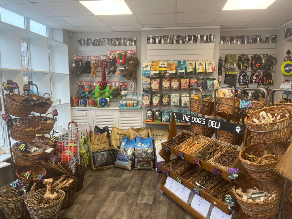 The Dogs Dinner Dog Friendly Pet Shop